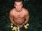 faele